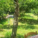Pensjonat Xho's Forest