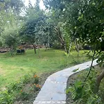Xho's Forest Pensjonat