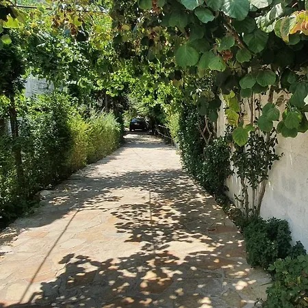 Xho's Forest Gasthuis 4*