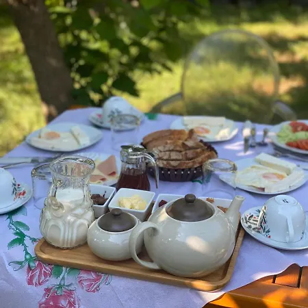 Xho's Forest 4* Berat