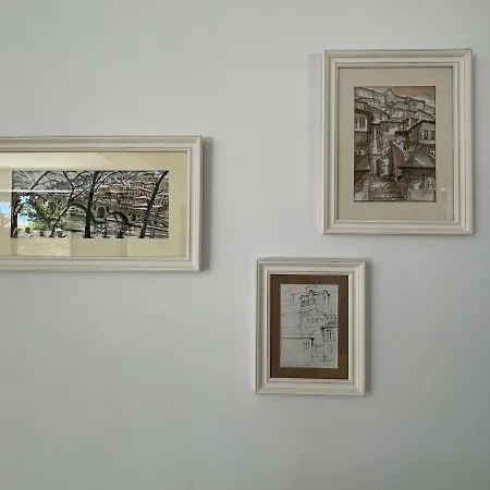 Xho's Forest Guest house Berat