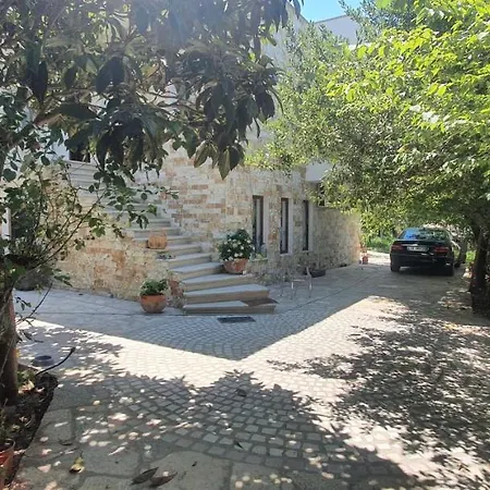 Xho's Forest Guest house 4*