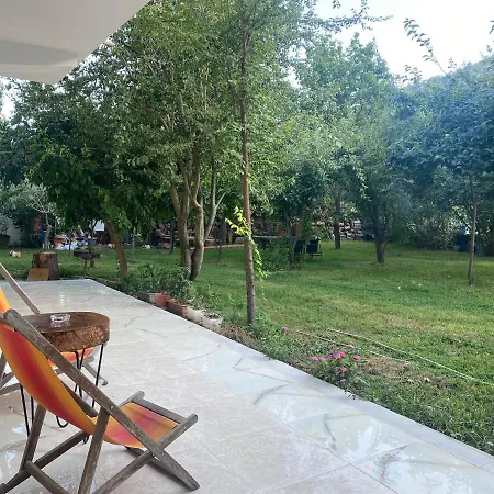 Xho's Forest Gasthuis Berat