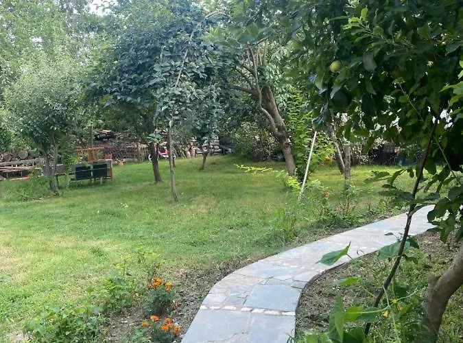 Xho's Forest Casa de hóspedes