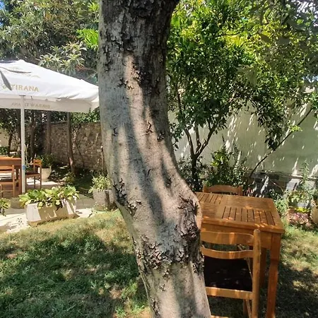 Xho's Forest 4* Berat