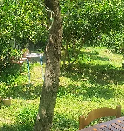 Pensionat Xho's Forest