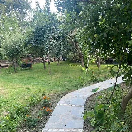 Xho's Forest בית הארחה